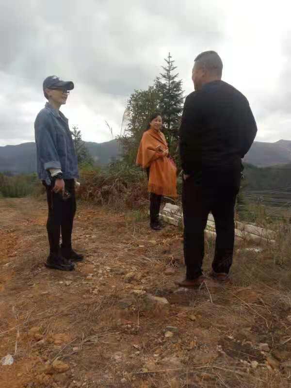 首页- 尊龙集团中国官网入口