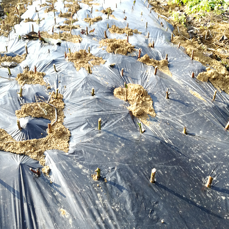 首页- 尊龙集团中国官网入口