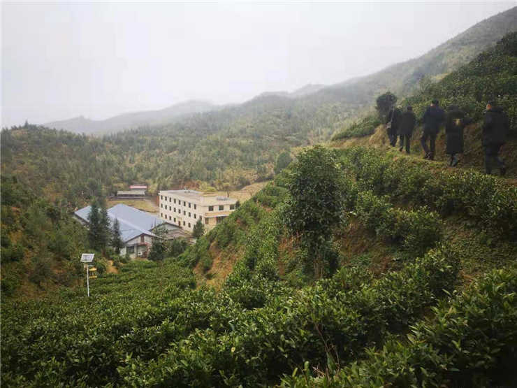 首页- 尊龙集团中国官网入口