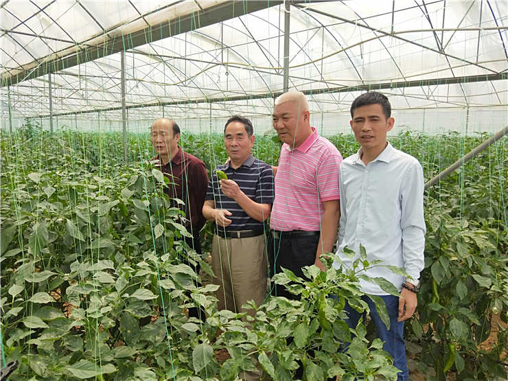 首页- 尊龙集团中国官网入口