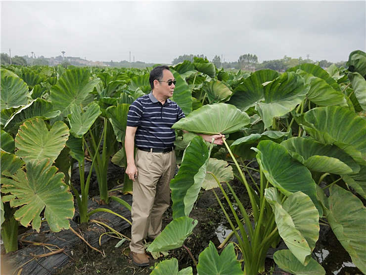 首页- 尊龙集团中国官网入口