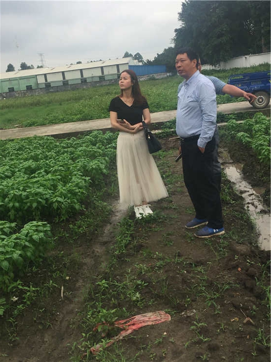 首页- 尊龙集团中国官网入口