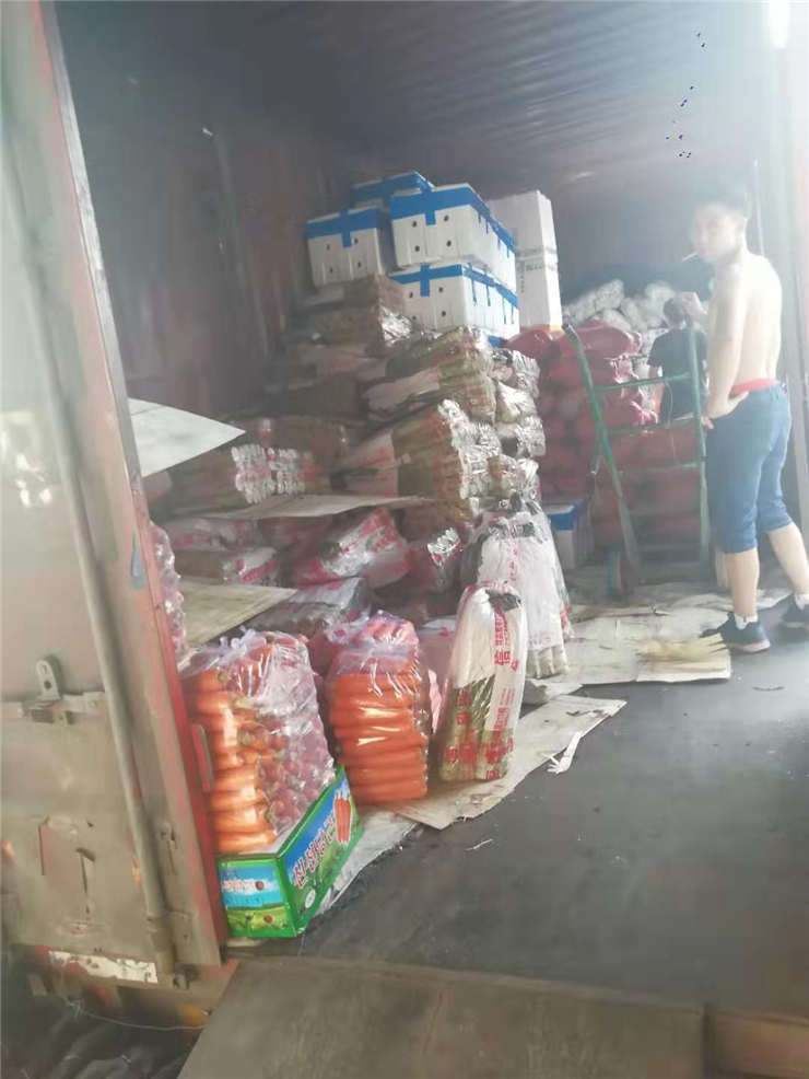 首页- 尊龙集团中国官网入口