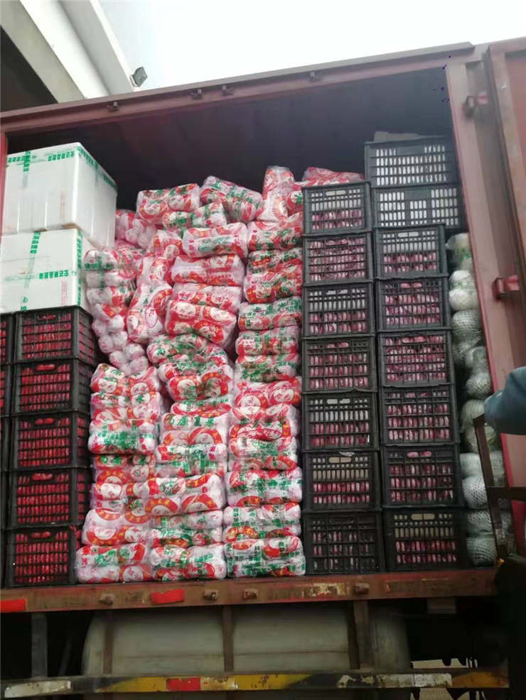 首页- 尊龙集团中国官网入口