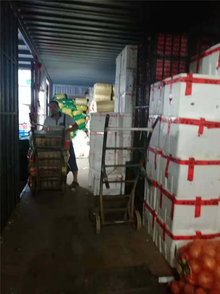 首页- 尊龙集团中国官网入口