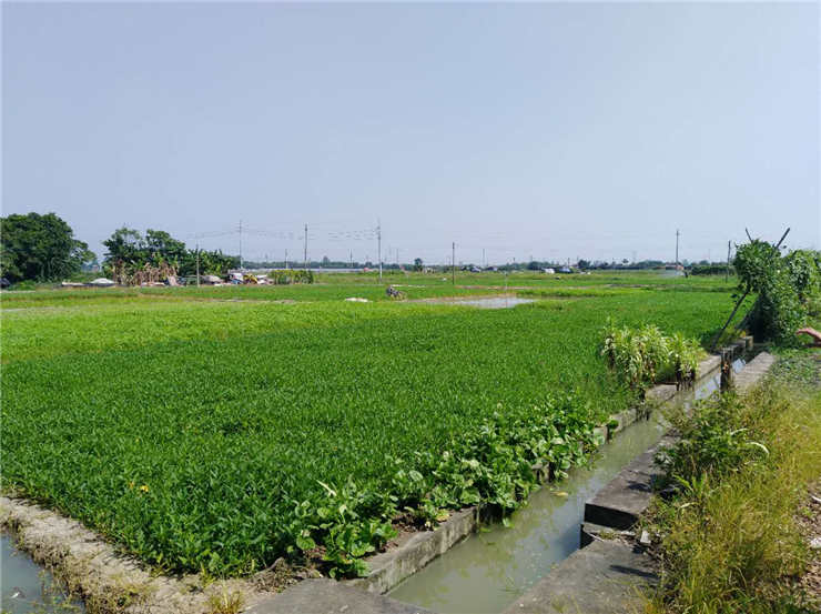 首页- 尊龙集团中国官网入口