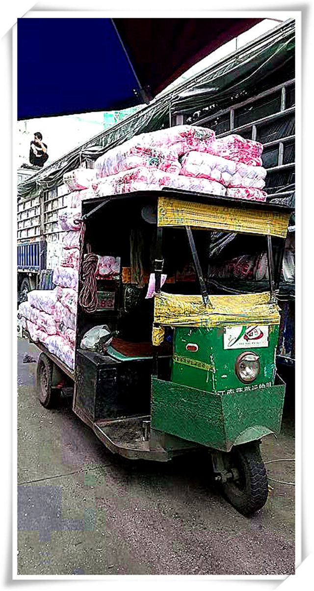 首页- 尊龙集团中国官网入口