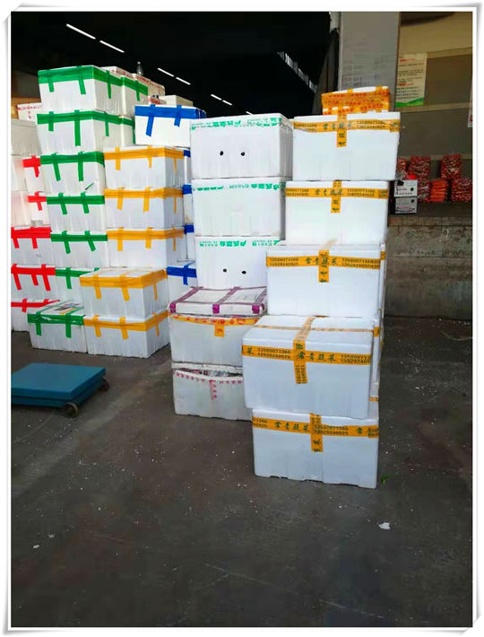 首页- 尊龙集团中国官网入口