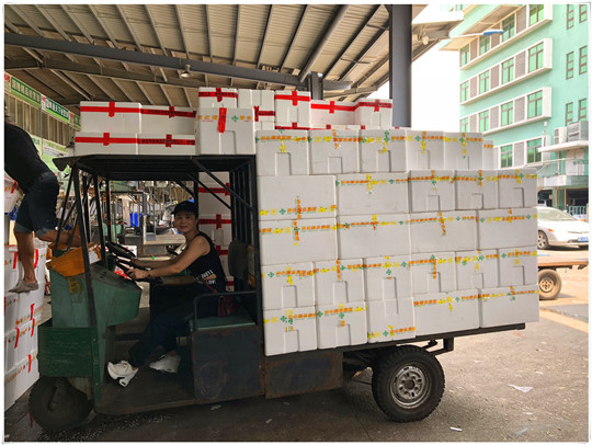 首页- 尊龙集团中国官网入口