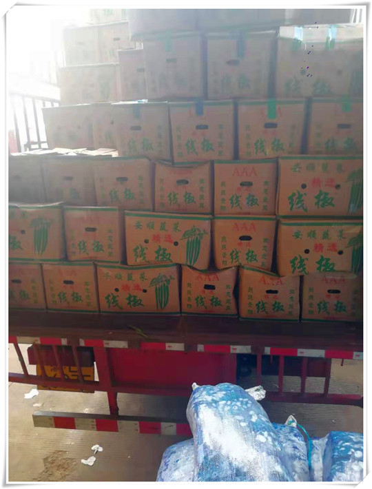 首页- 尊龙集团中国官网入口