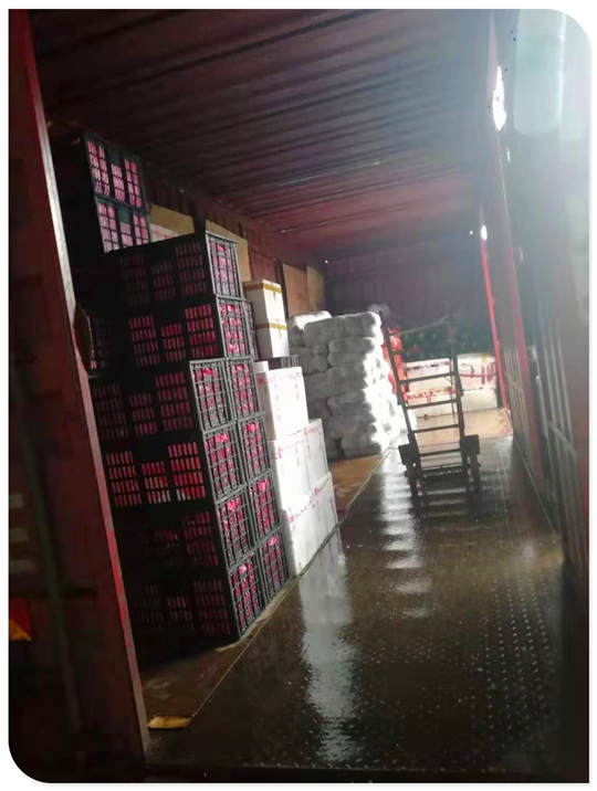 首页- 尊龙集团中国官网入口