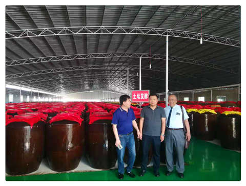 首页- 尊龙集团中国官网入口