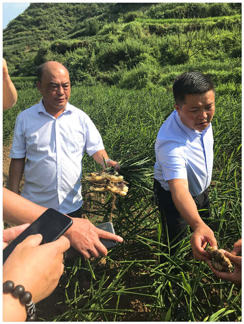 首页- 尊龙集团中国官网入口