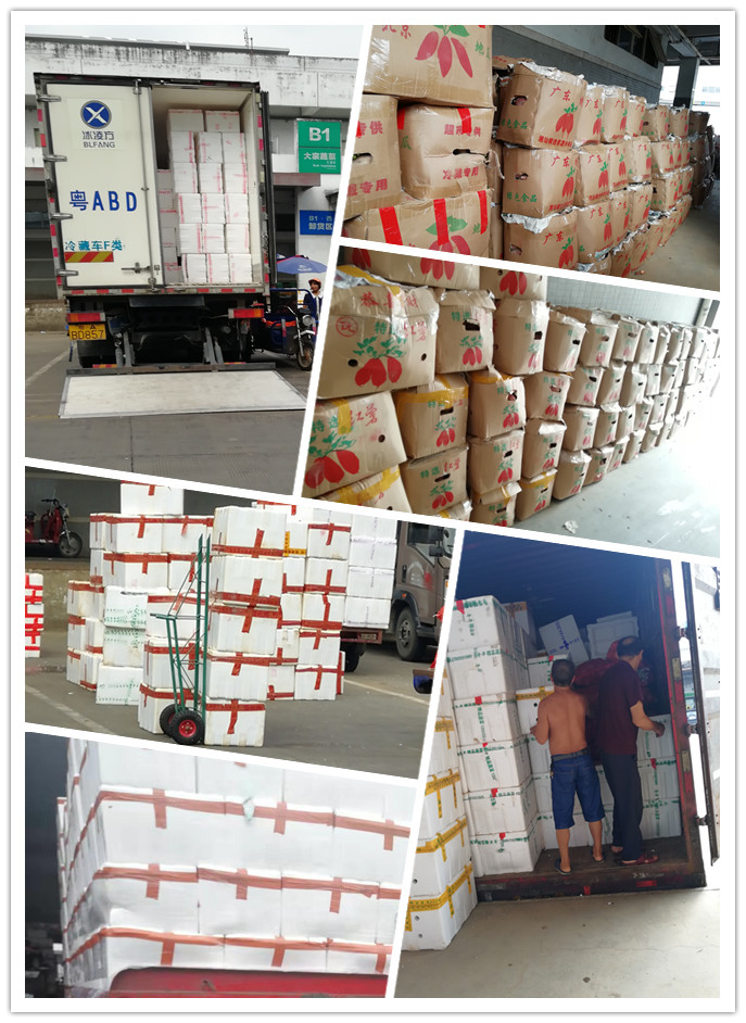 首页- 尊龙集团中国官网入口