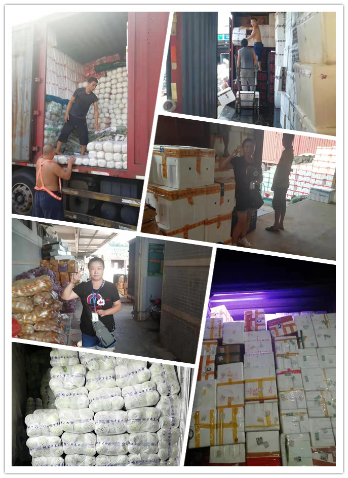 首页- 尊龙集团中国官网入口