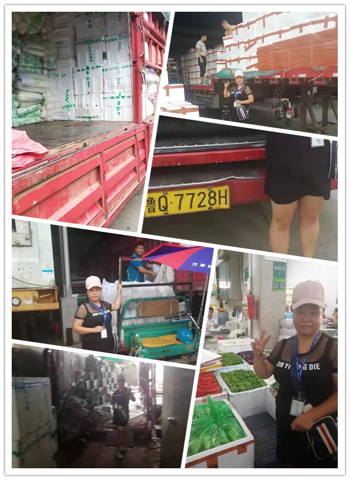 首页- 尊龙集团中国官网入口