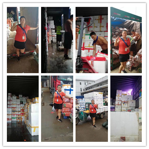 首页- 尊龙集团中国官网入口