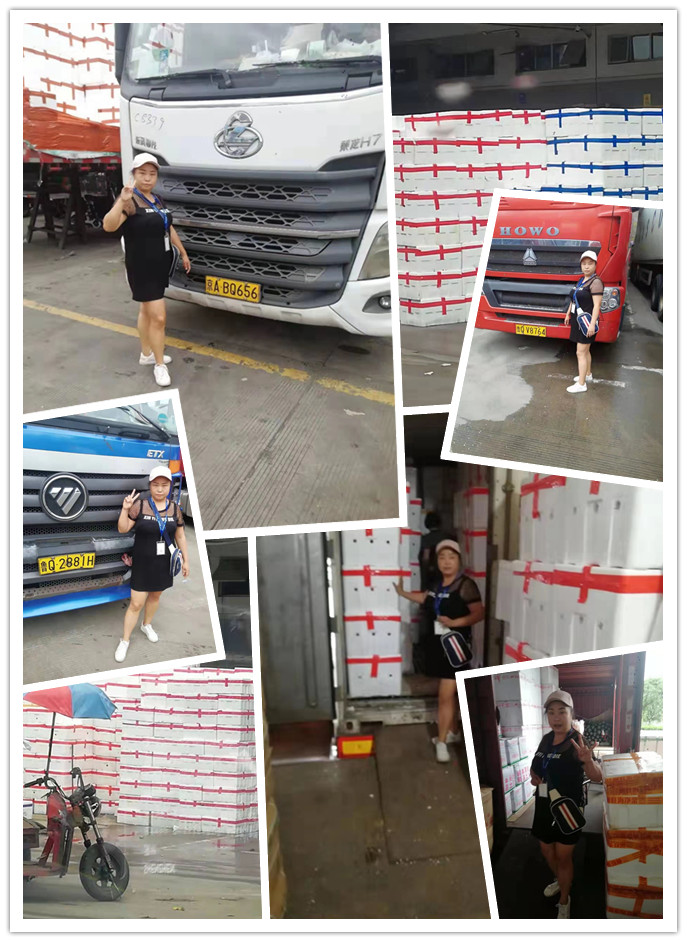 首页- 尊龙集团中国官网入口