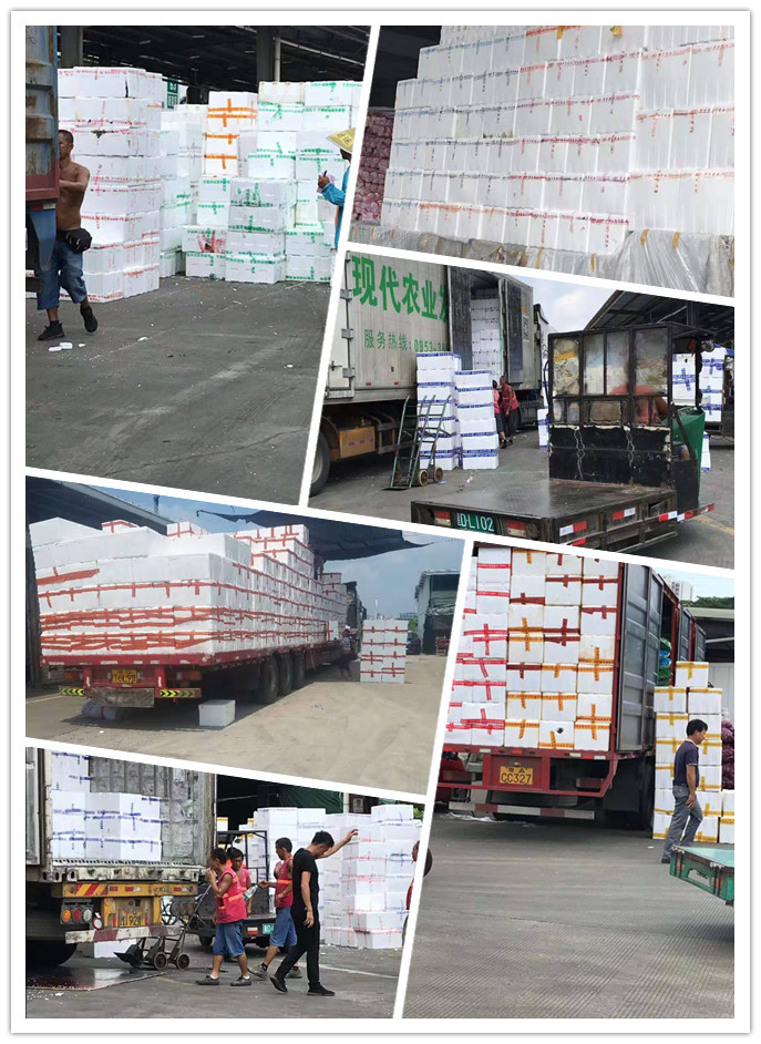 首页- 尊龙集团中国官网入口