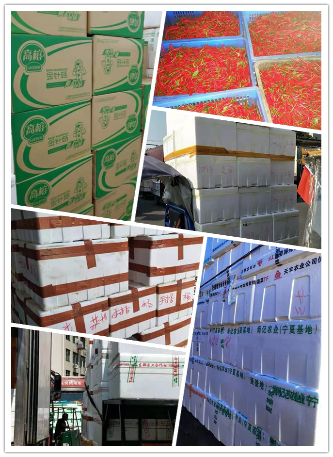 首页- 尊龙集团中国官网入口