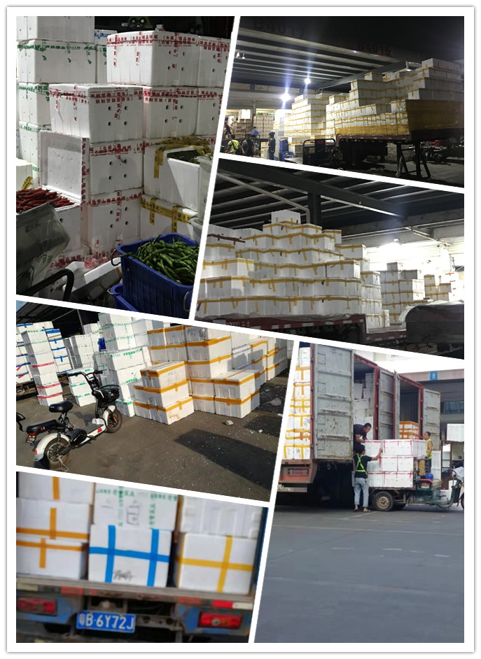 首页- 尊龙集团中国官网入口