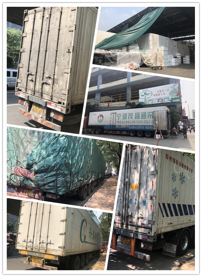 首页- 尊龙集团中国官网入口