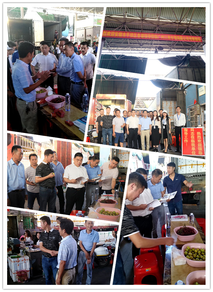 首页- 尊龙集团中国官网入口