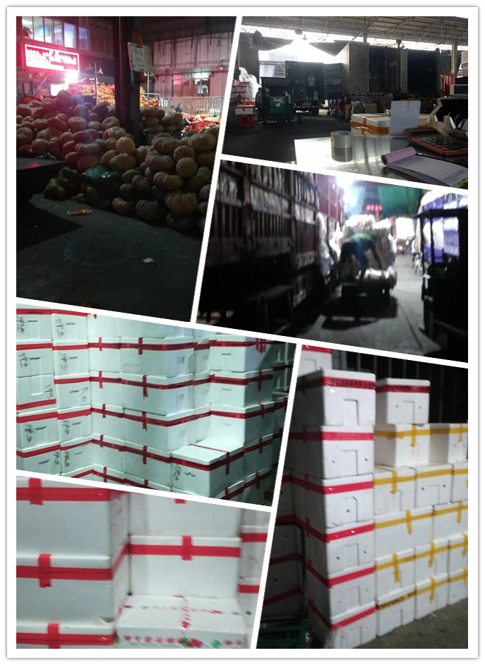 首页- 尊龙集团中国官网入口