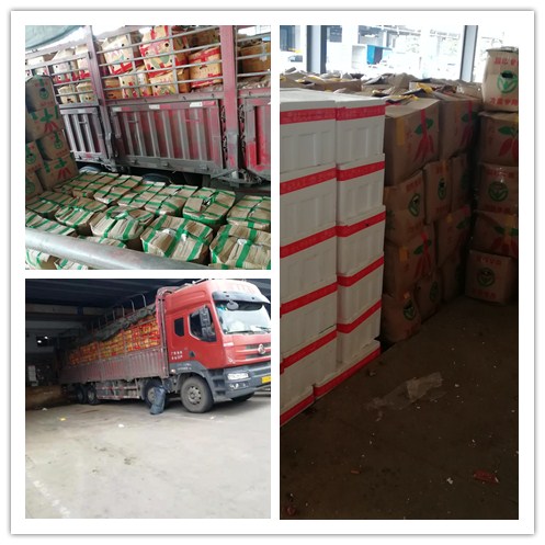 首页- 尊龙集团中国官网入口