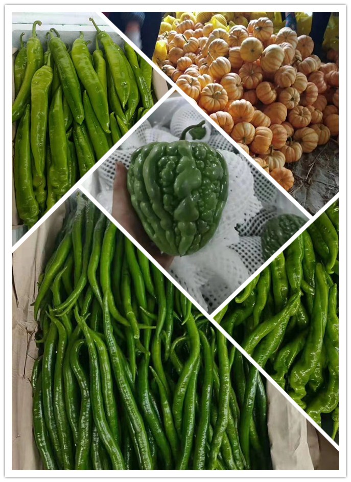 首页- 尊龙集团中国官网入口