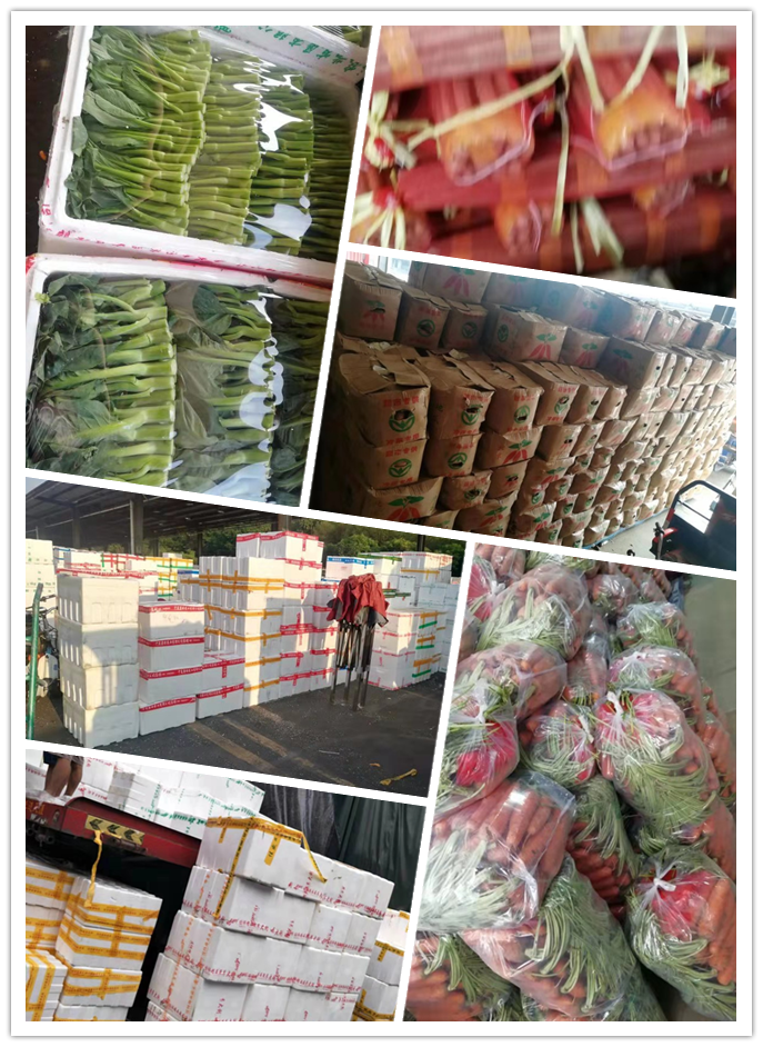 首页- 尊龙集团中国官网入口