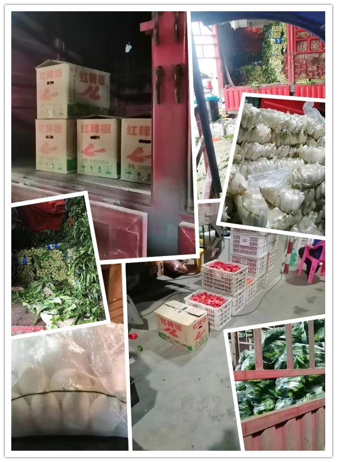 首页- 尊龙集团中国官网入口