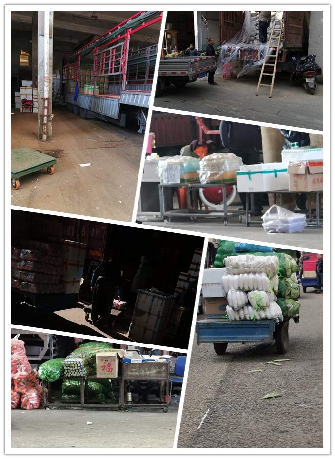 首页- 尊龙集团中国官网入口