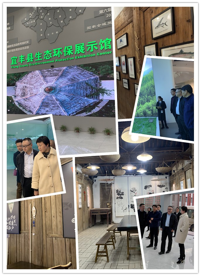 首页- 尊龙集团中国官网入口