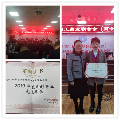 首页- 尊龙集团中国官网入口