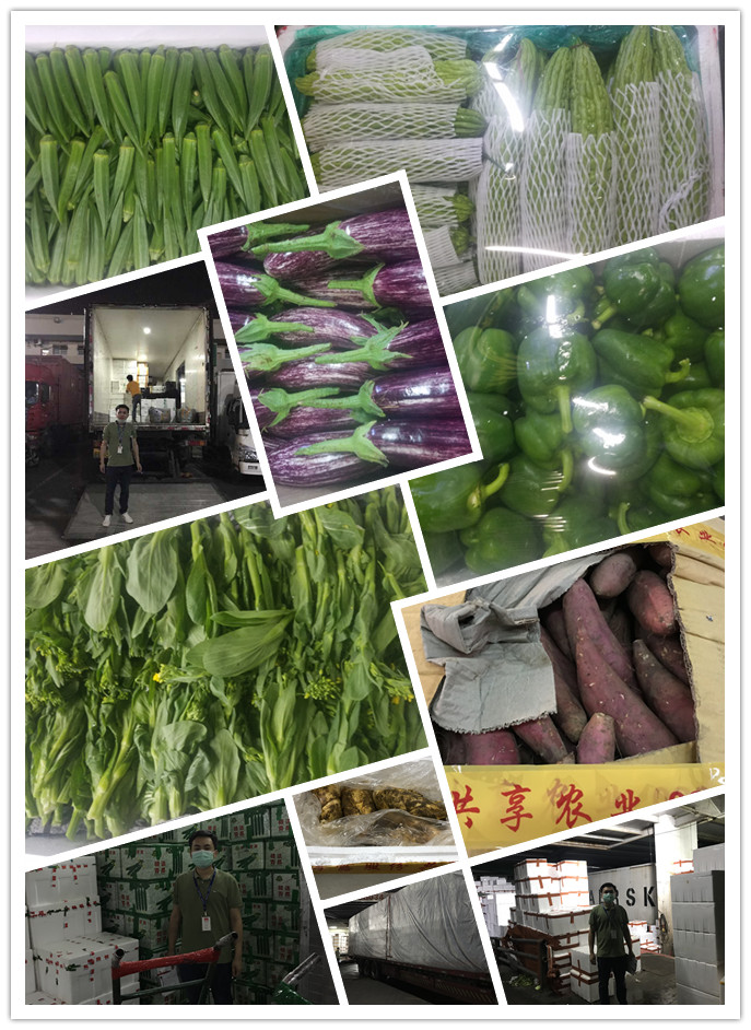 首页- 尊龙集团中国官网入口