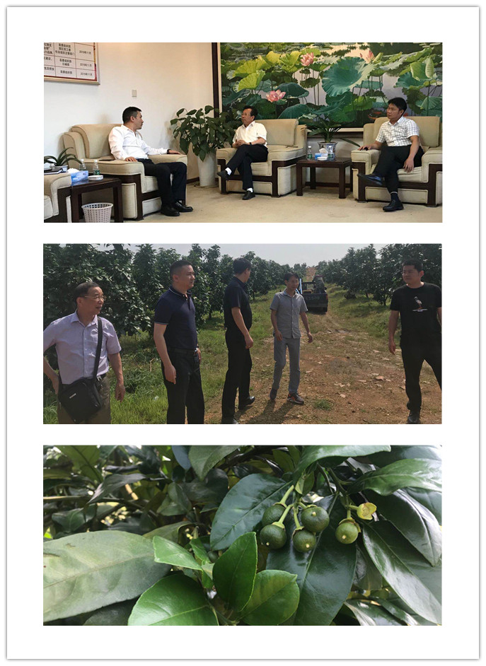 首页- 尊龙集团中国官网入口