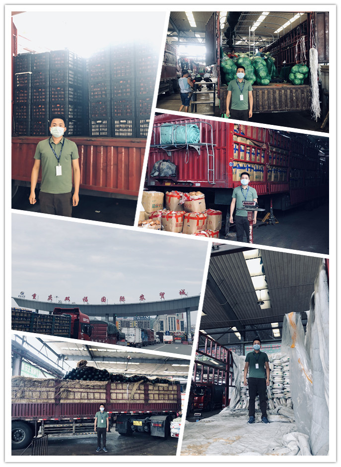 首页- 尊龙集团中国官网入口