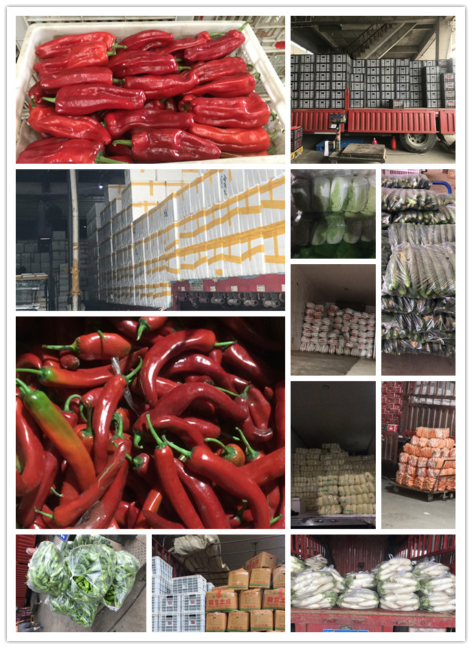 首页- 尊龙集团中国官网入口