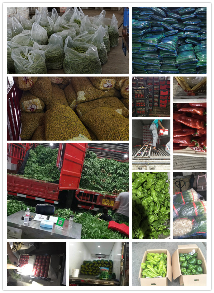 首页- 尊龙集团中国官网入口