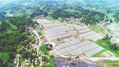 首页- 尊龙集团中国官网入口