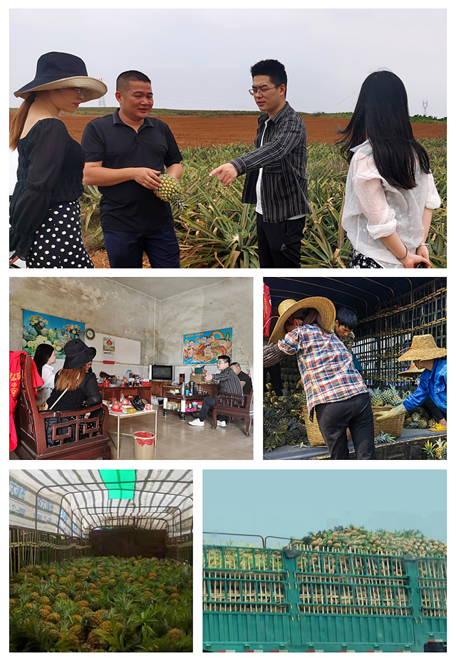 首页- 尊龙集团中国官网入口