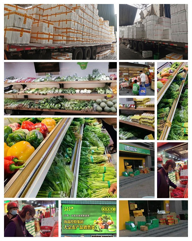 首页- 尊龙集团中国官网入口