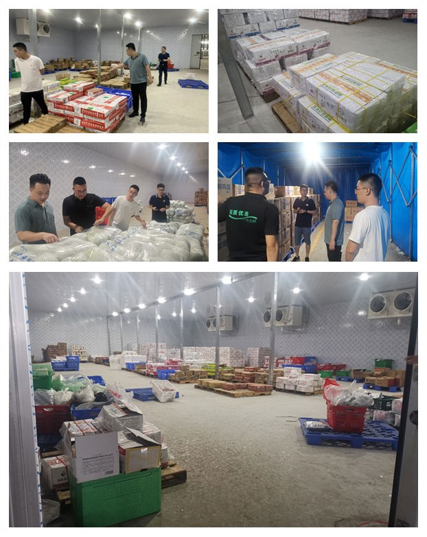 首页- 尊龙集团中国官网入口