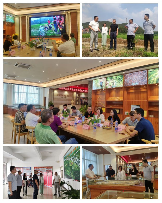 首页- 尊龙集团中国官网入口