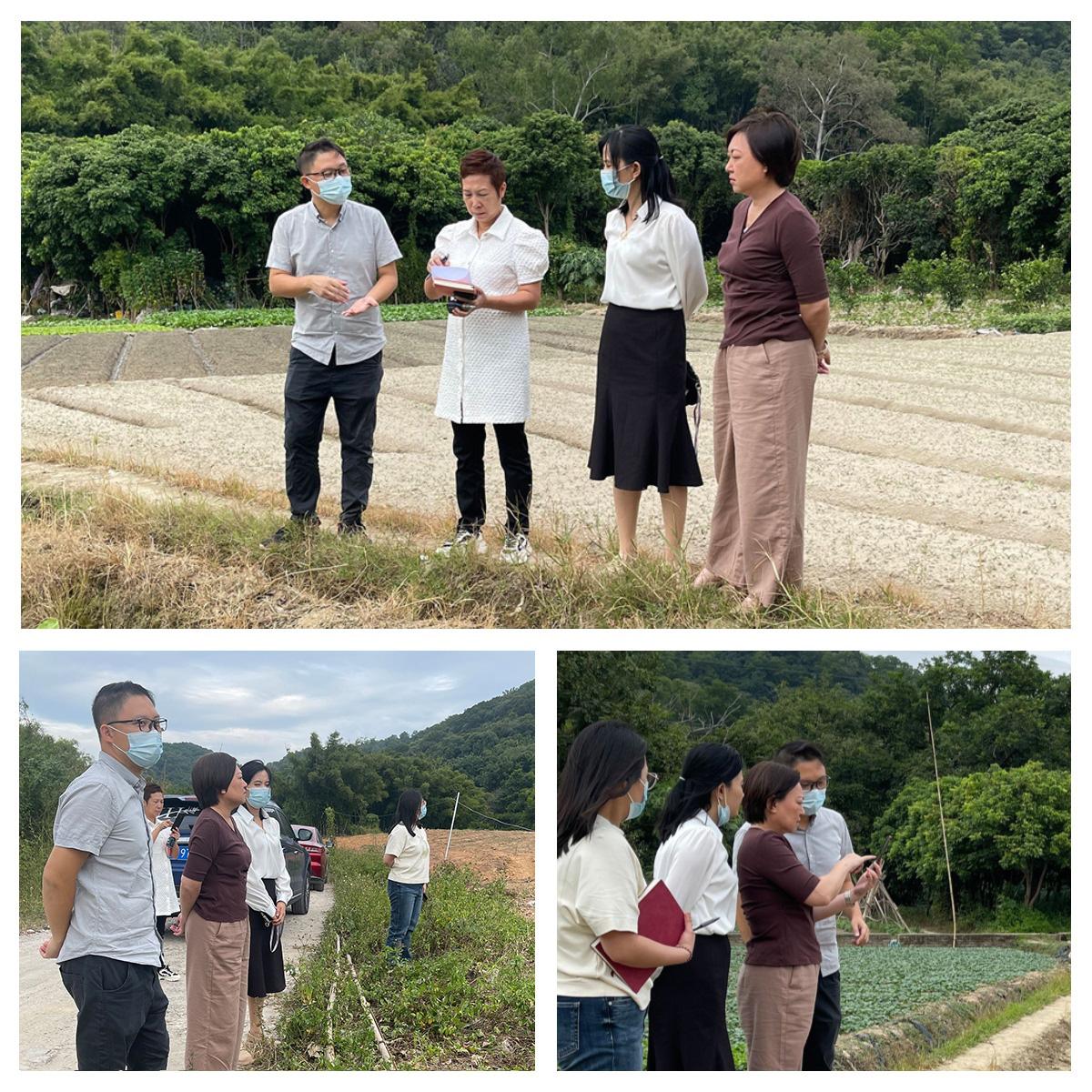 首页- 尊龙集团中国官网入口