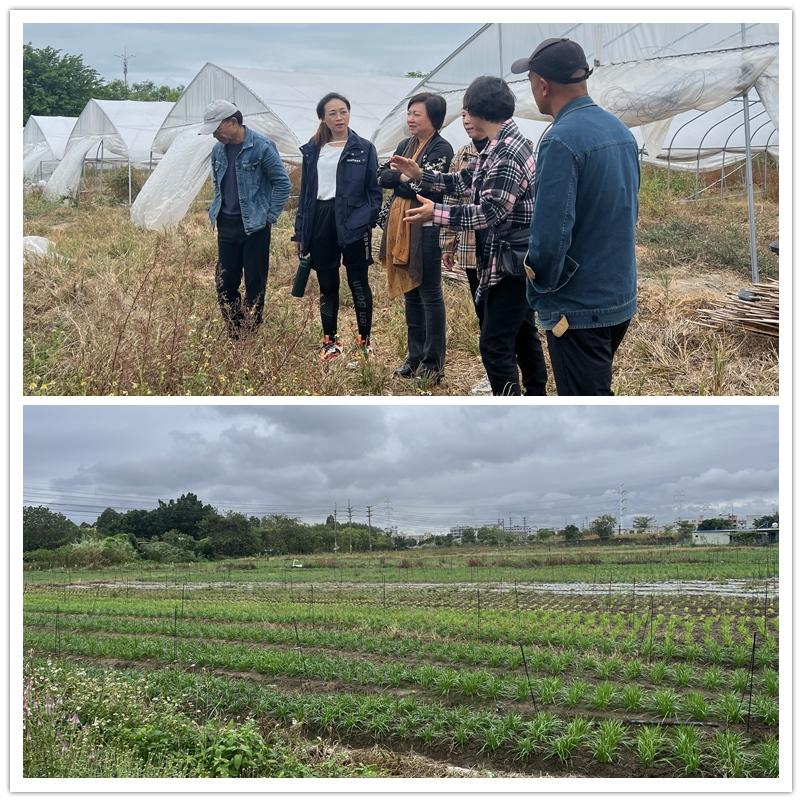 首页- 尊龙集团中国官网入口