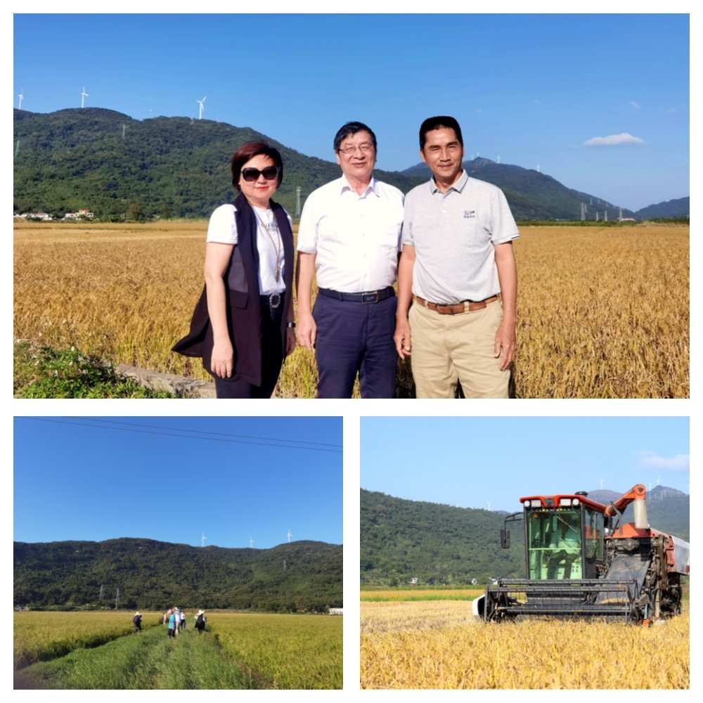 首页- 尊龙集团中国官网入口