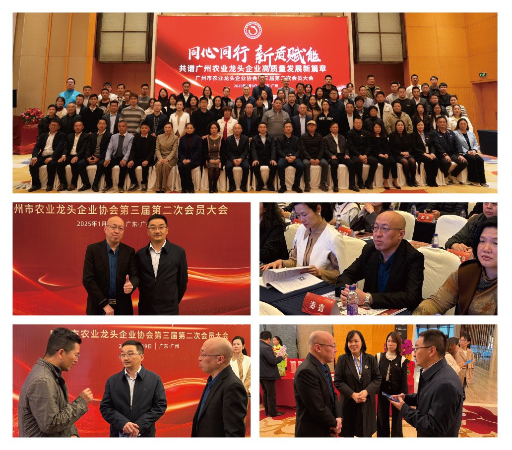 首页- 尊龙集团中国官网入口