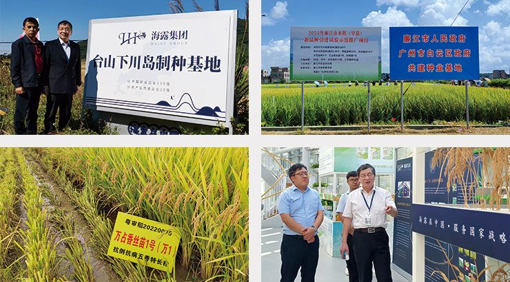 首页- 尊龙集团中国官网入口